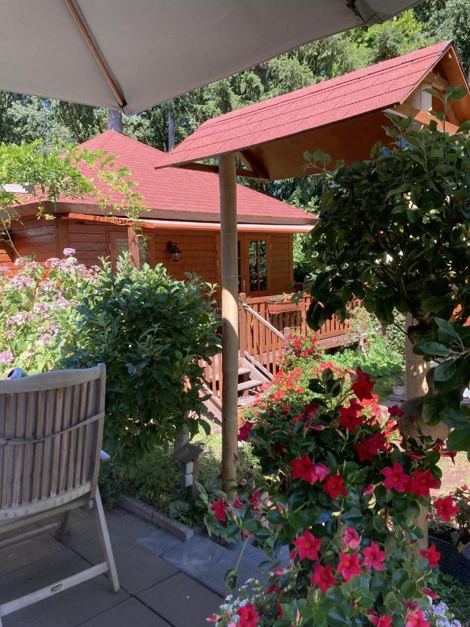 B&B Porcini Ermelo Extérieur photo